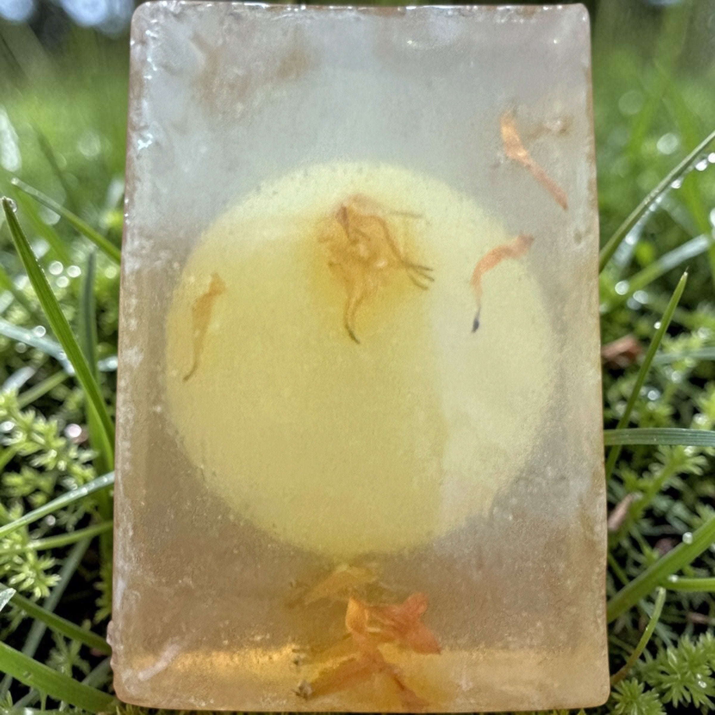 Turmeric Glow Soap (Unscented)